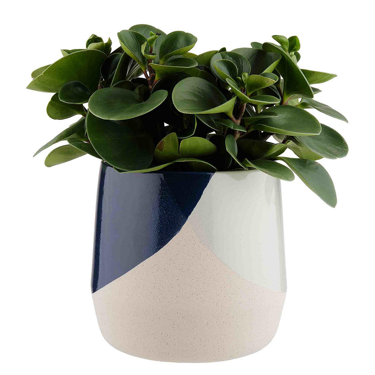 BLUMENTOPF Sky Sand - Blau, Keramik (21cm) - Butlers