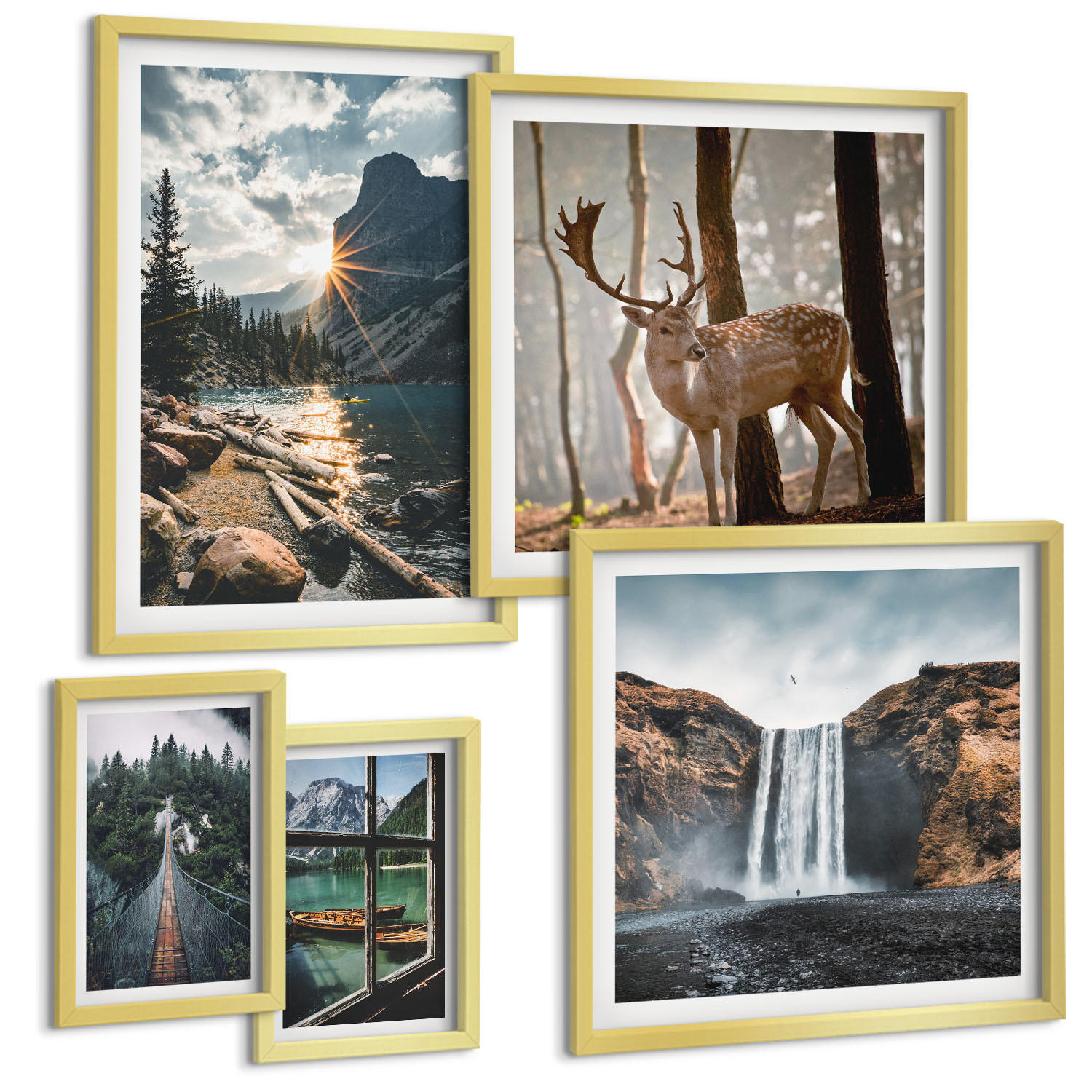 BILDER SET 5er Set - 50x50 cm & 20x30 cm & 40x60 cm Goldrahmen - Blumenarrangements in Vasen - Goldfarben, Kunststoff (40/60cm) - TULUP