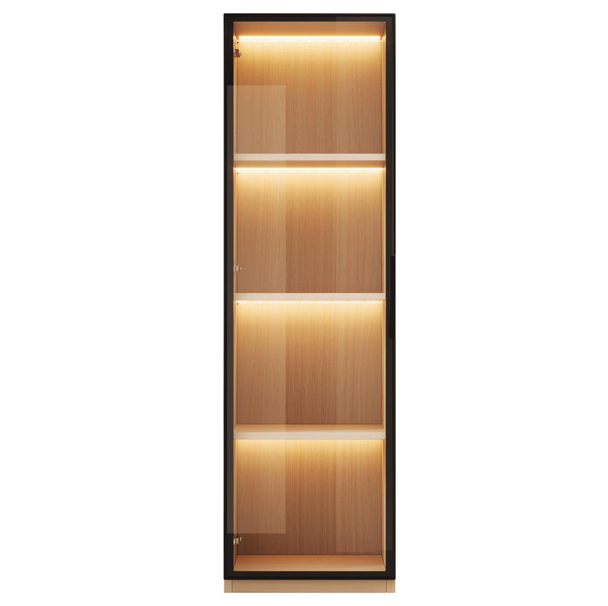 VITRINE aus MDF 40x40x165cm in Eiche mit LED & Glastür - Eichefarben, Holzwerkstoff (40/165/40cm) - Modfu