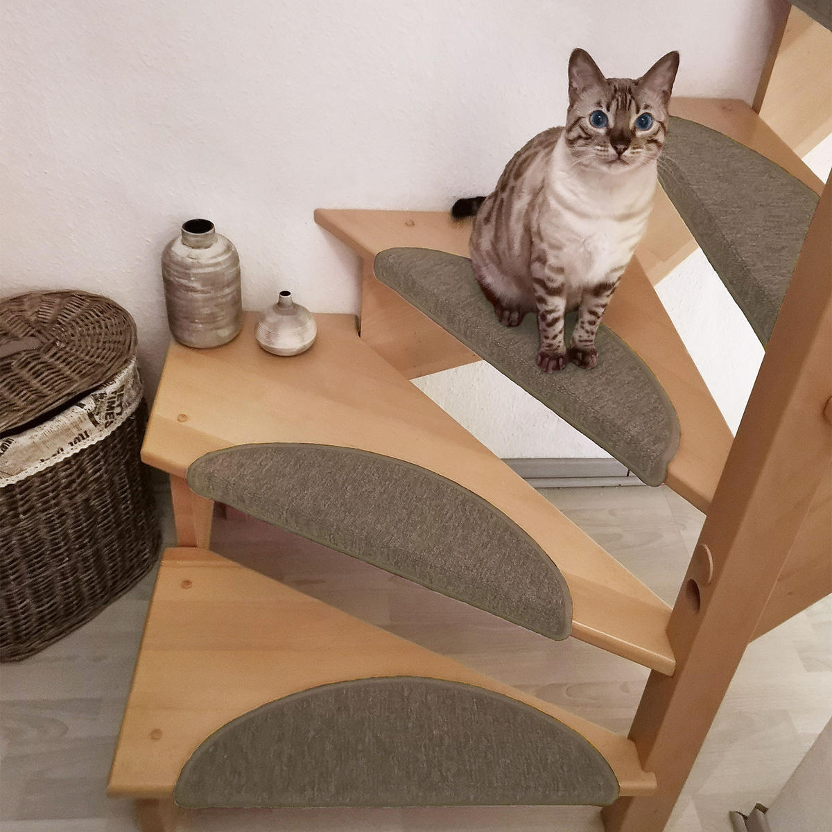 STUFENMATTE ProStair 56/20 cm Sand 15tlg - Sandfarben, Textil (56/20/1cm) - Beautissu 