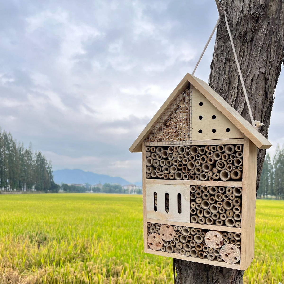 INSEKTENHOTEL 22.5/9.1/37.5 cm - Naturfarben, Holz (9.1/37.5/22.5cm) - Authentics