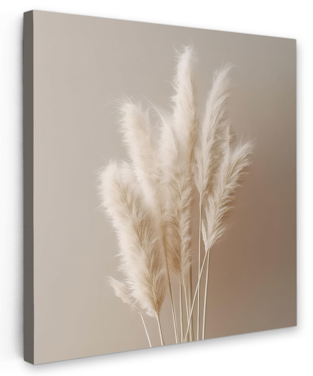 LEINWANDBILD Pampasgras - Federn - Pastell - Weiß 90x90 cm - Naturfarben, Textil (90/90cm) - MuchoWow