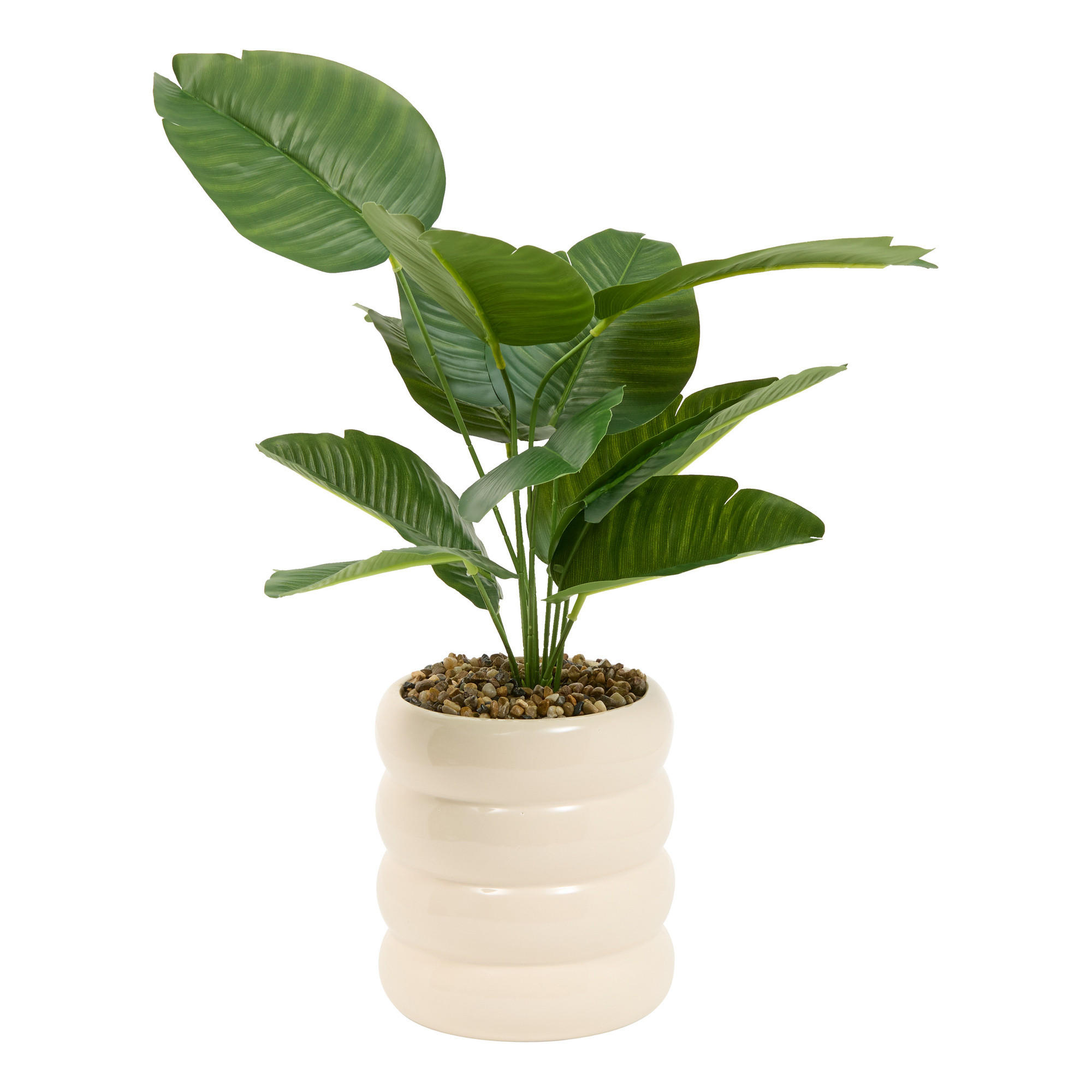 PFLANZE Strelitzie Poolside 13,5/13,5/45 cm - Beige, Keramik (45cm) - Atmosphera Createur d´interieur