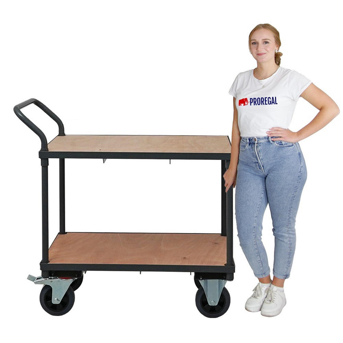 TISCHWAGEN mit 2 Etagen 95x50x97cm Traglast 400kg Grau - Grau, Metall (97/50/95cm) - PROREGAL