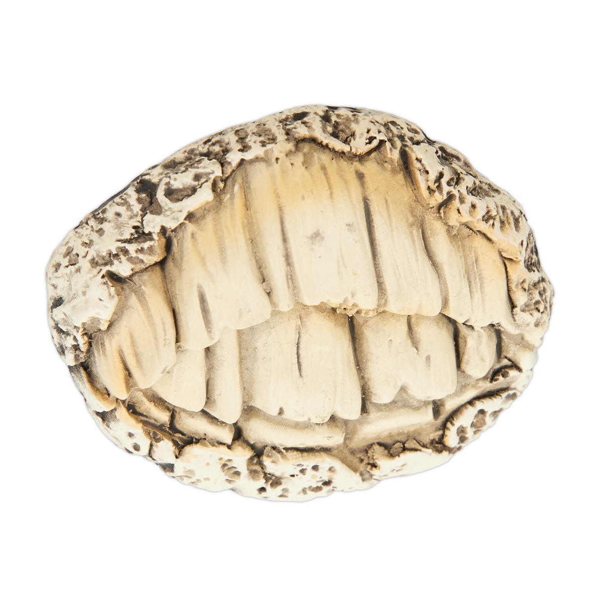 BAUMGESICHT - Multicolor, Kunststoff (6.5/8/2cm) - Relaxdays