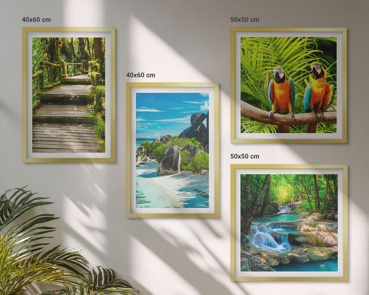 WANDBILDER 4er Set - 50x50 cm & 40x60 cm Goldrahmen - Tropischer Wald Papageienwasserfall - Goldfarben, Kunststoff (50/50cm) - ArtPrintCave