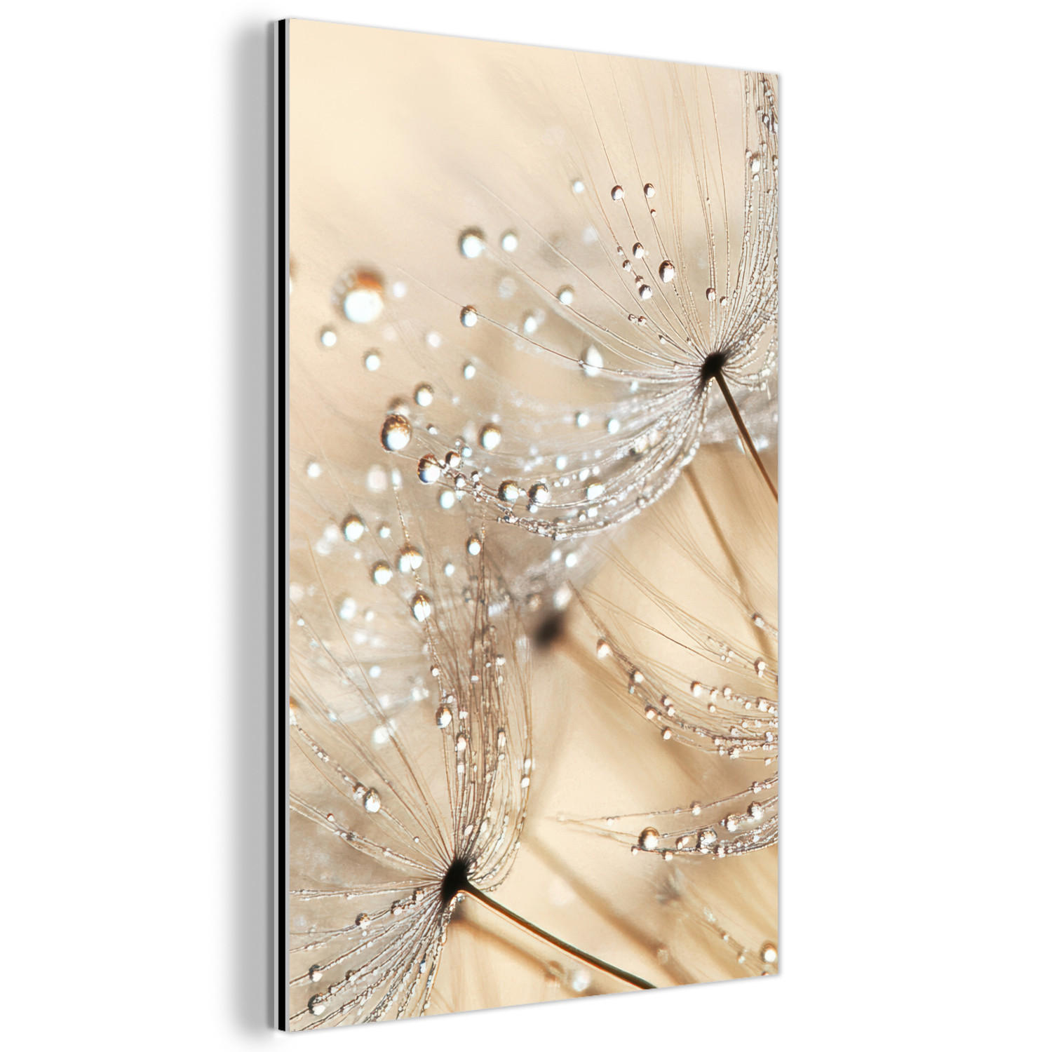 METALLBILD Löwenzahn - Abstrakt - Natur - Beige 40x60 cm - Braun, Metall (40/60cm) - MuchoWow