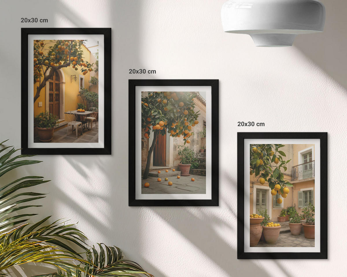 WANDBILDER 3er-Set - 20x30 cm Schwarzer Rahmen - Garten-Zitrus-Sonne - Schwarz, Kunststoff (20/30cm) - ArtPrintCave