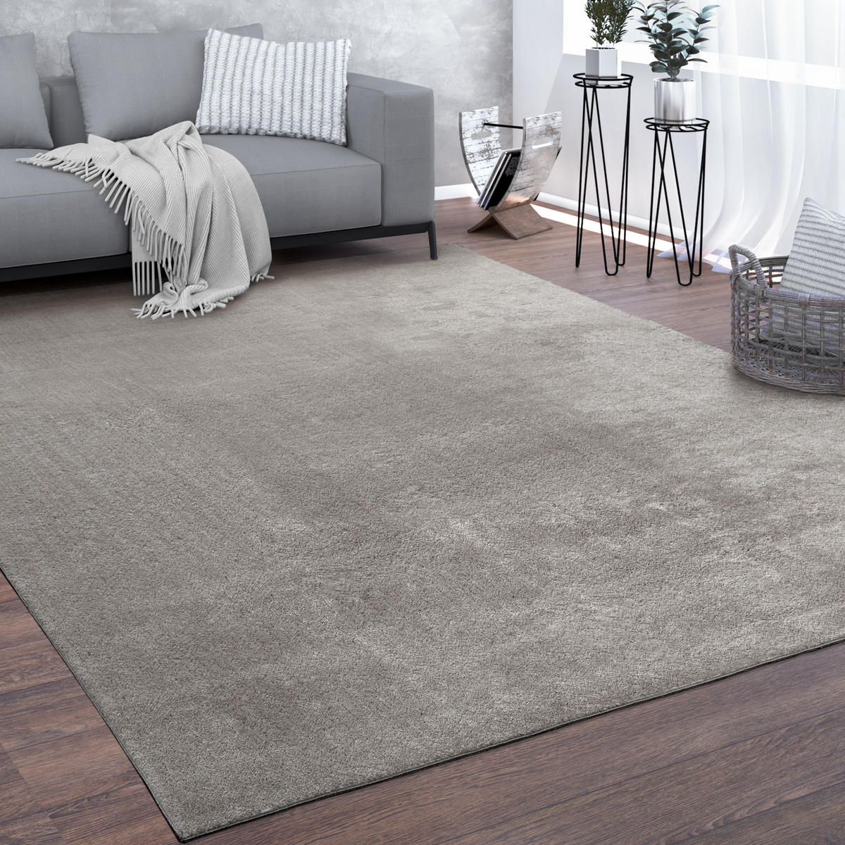 KURZFLORTEPPICH 300/400 cm Cadiz 630 - Grau, Textil (300/400cm) - Paco Home
