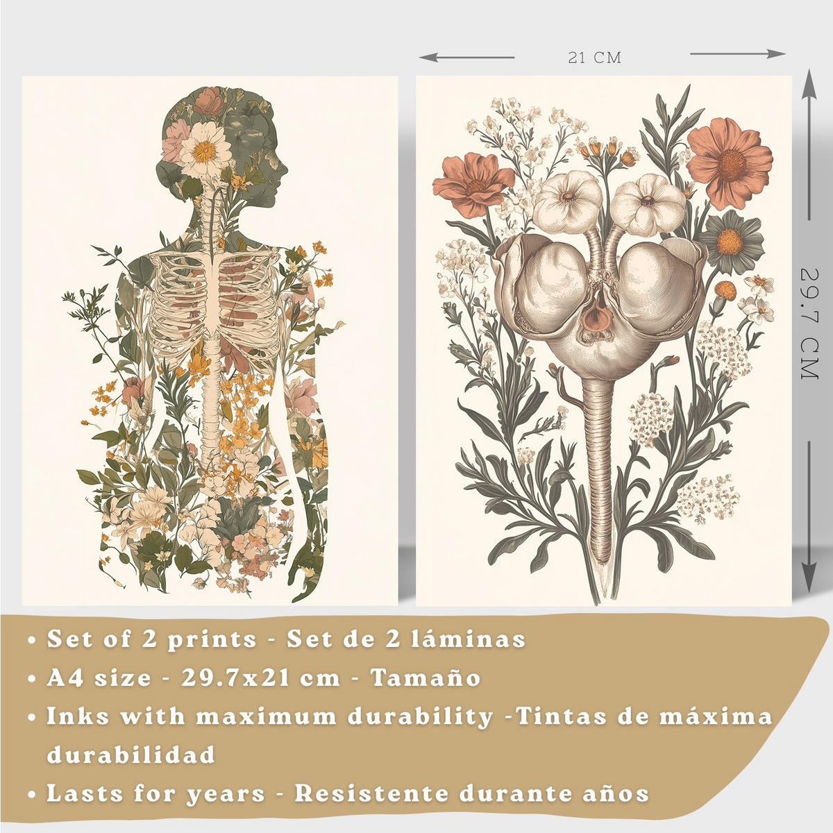 POSTER Set aus 2 Anatomie Mensch Drucke und Wandbilder mit Weiblicher Silhouette und Fortpflanzungssystem Botanischer Stil Größe Weißer Rahmen A4 - Weiß, Papier (21/29.7/3cm) - Nacnic