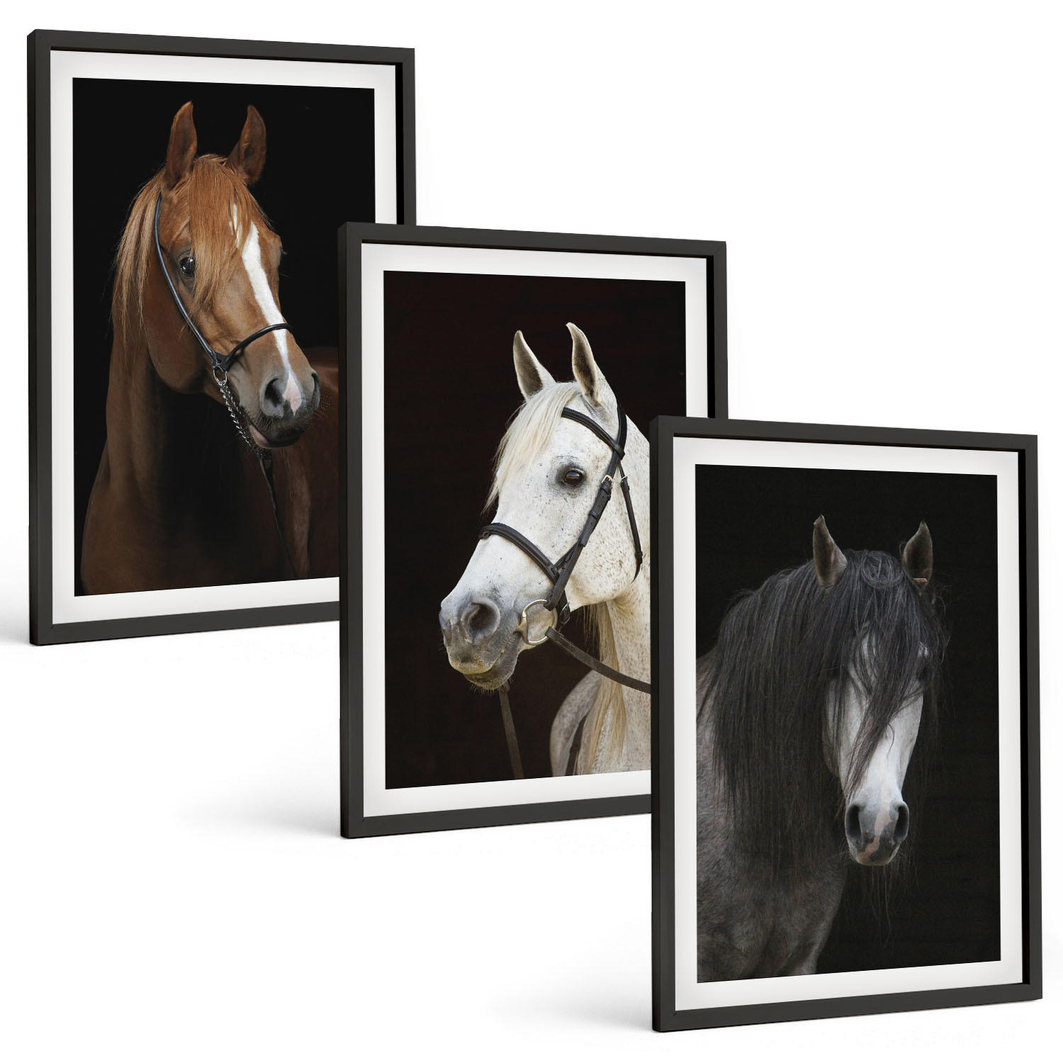 BILDER SET 3er Set - 40x60 cm Schwarzer Rahmen - Porträts von Pferden in verschiedenen Fellfarben - Schwarz, Kunststoff (40/60cm) - TULUP