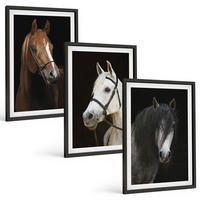 BILDER SET 3er Set - 40x60 cm Schwarzer Rahmen - Porträts von Pferden in verschiedenen Fellfarben - Schwarz, Kunststoff (40/60cm) - TULUP