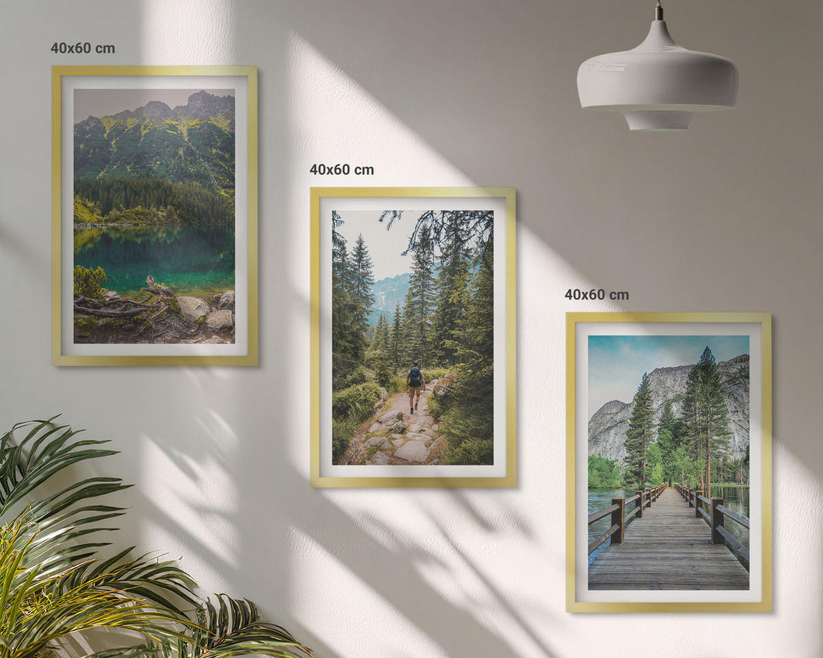 WANDBILDER 3er Set - 40x60 cm Goldrahmen - Berge, Seen, Wälder, Wege - Goldfarben, Kunststoff (40/60cm) - ArtPrintCave