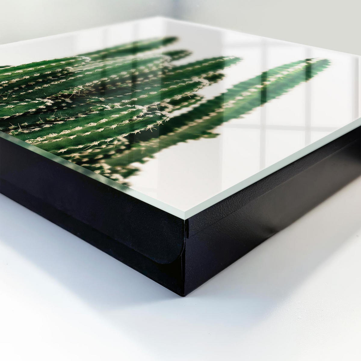 SCHLÜSSELBOX Schwarz 30x30 cm- Türöffnung nach rechts - Grüne Kakteen - Grün, Metall (30/30/5cm) - TULUP