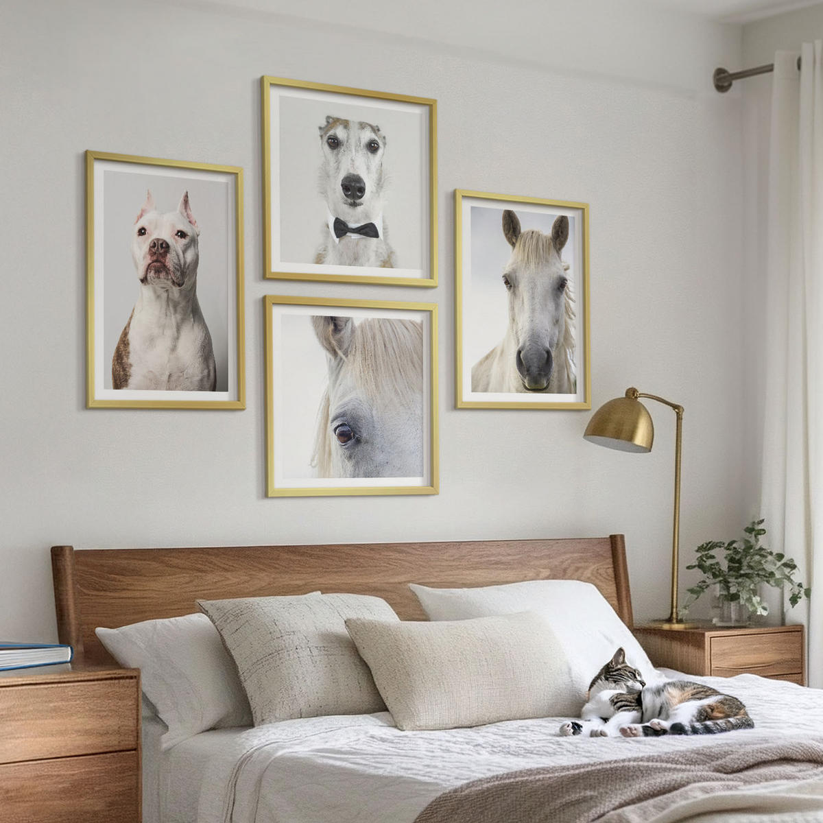 WANDBILDER 4er Set - 50x50 cm & 40x60 cm Goldrahmen - Elegante Porträts von Hunden und Pferden - Goldfarben, Kunststoff (50/50cm) - ArtPrintCave
