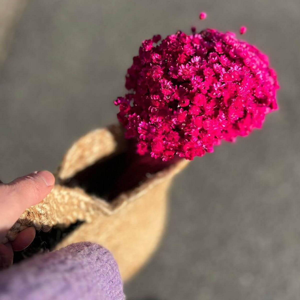 TROCKENBLUMEN Glixia Bund in Magenta - Pink, Naturmaterialien (45cm) - Lykke & You