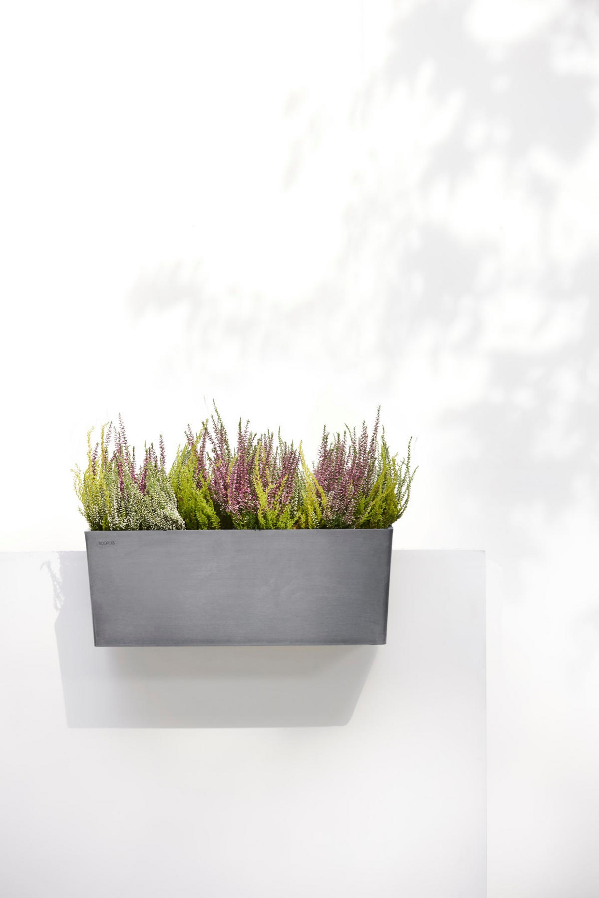 BLUMENTOPF Bruges Hängend 54,7/20,5 cm Grau - Grau, Kunststoff (54.7/20.5cm) - Ecopots