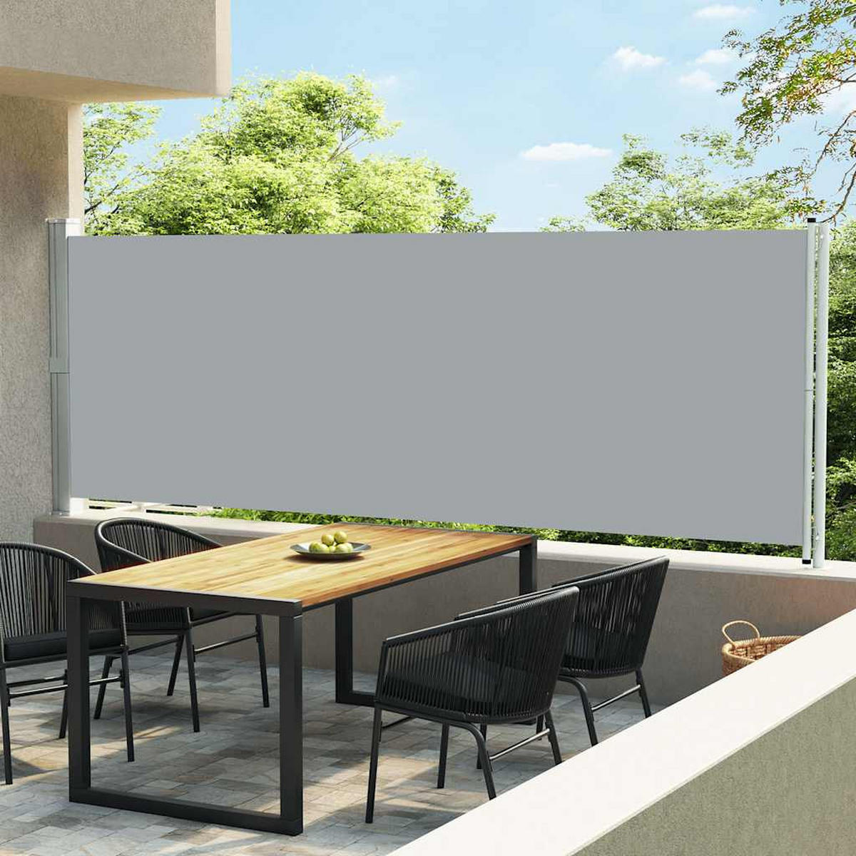 SEITENMARKISE Ausziehbar 600x160 cm Grau - Grau, Textil (600/160/600cm) - furnicato