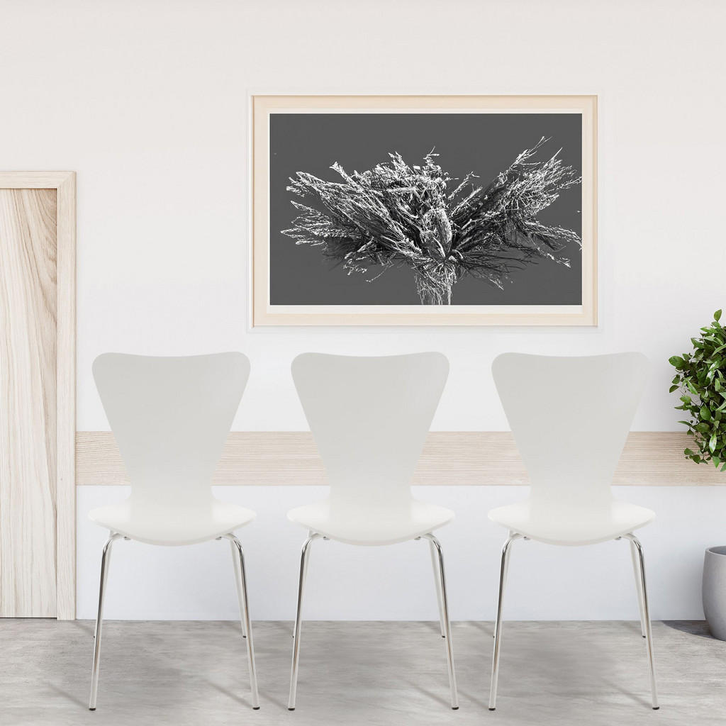 Thumbnail - CLP Besucherstuhl, Weiß, Holz, 45x85x49 cm, Arbeitszimmer, Besucherstühle