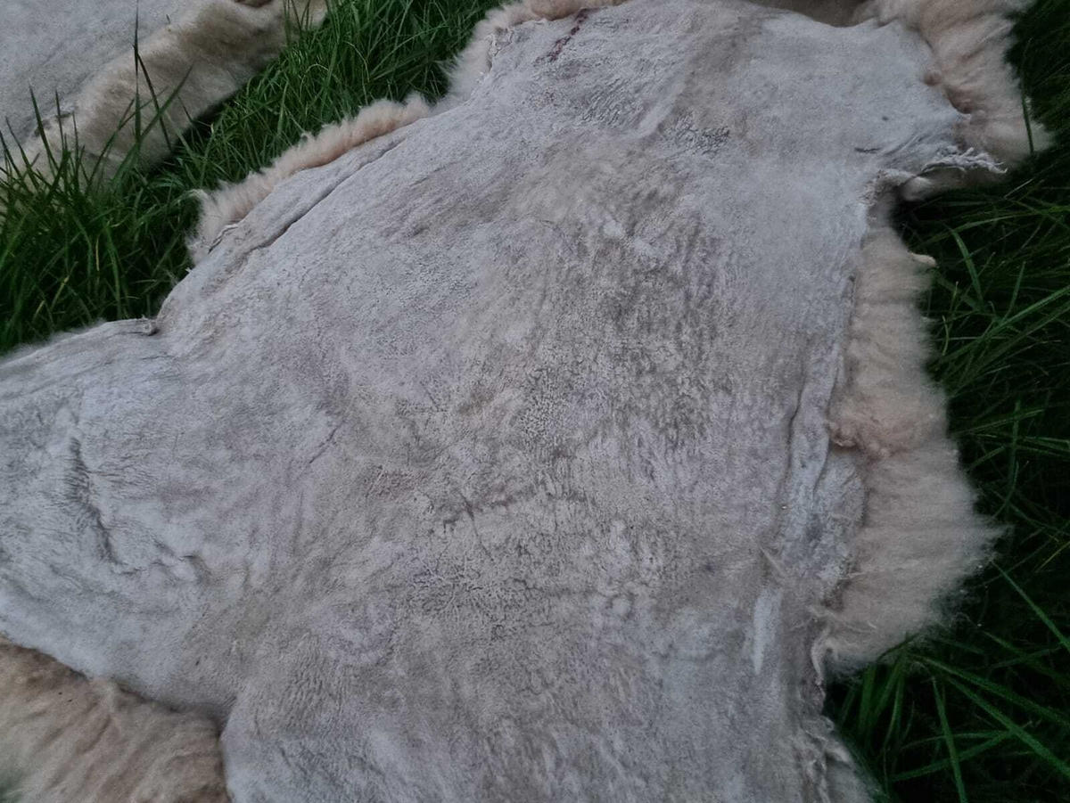 SCHAFFELL Hellbraun/Cappuccino 2. Wahl, ca. 130 cm - Hellbraun/Cappuccino, Fell (75/130cm) - Provellus