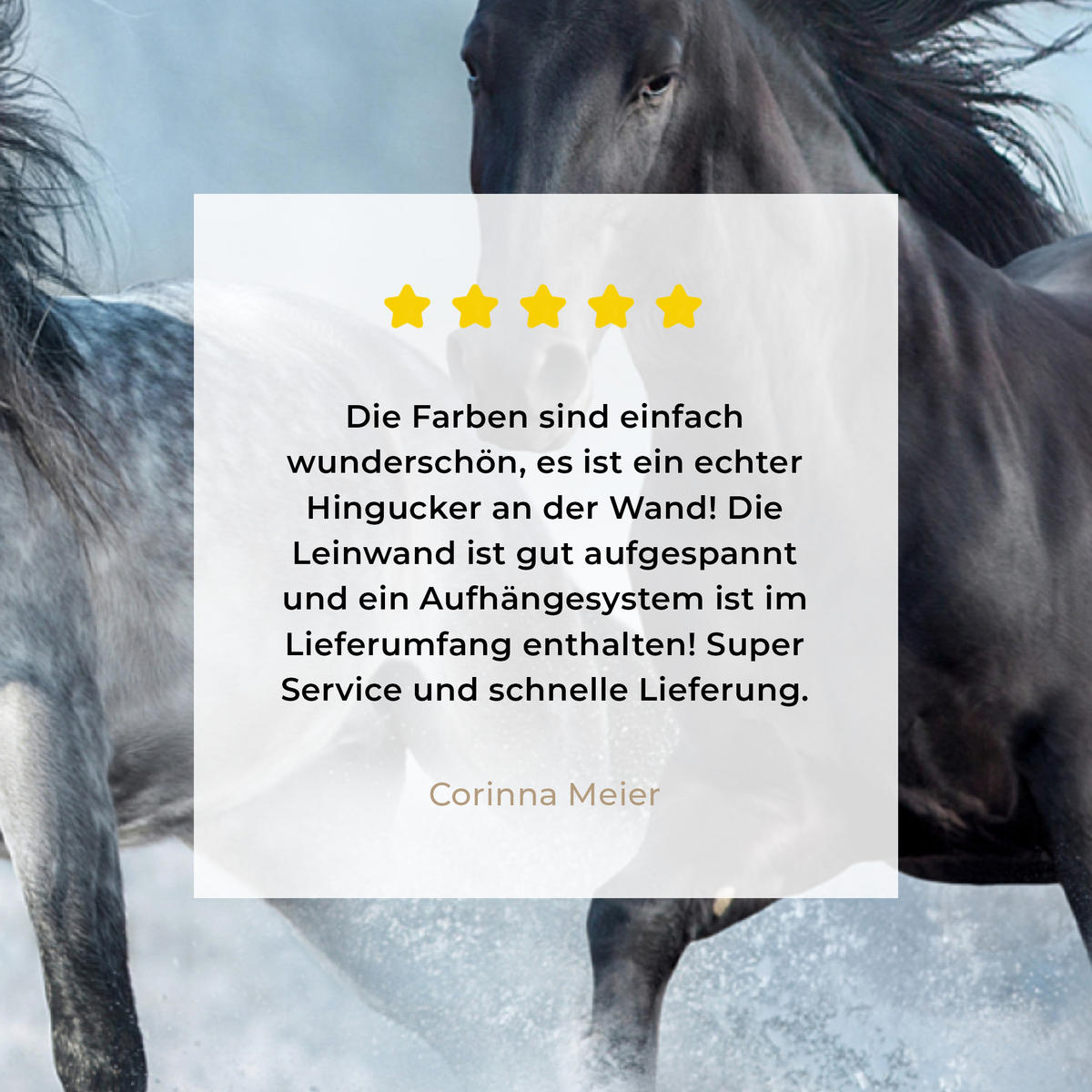 LEINWANDBILD Pferde - Winter - Tiere - Natur - Schnee Wandbilder 80x60 cm - Anthrazit, Textil (80/60cm) - MuchoWow