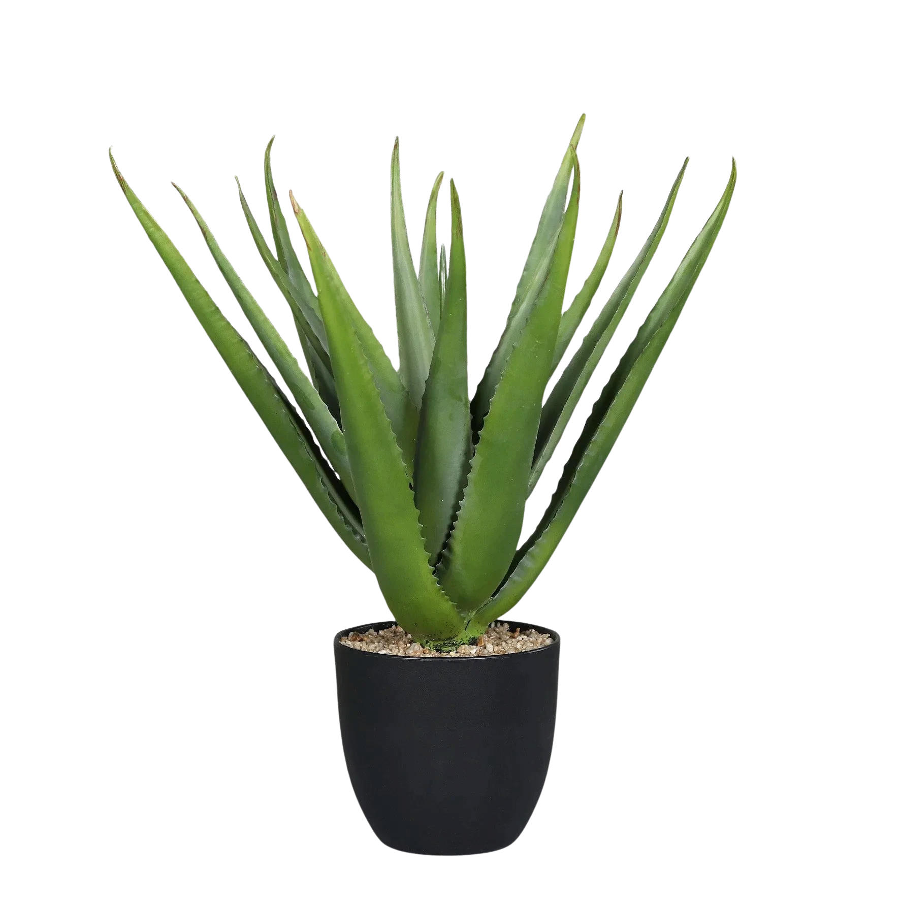 KUNSTPFLANZE Künstliche Aloe Vera - Chester 50 cm - Grün, Kunststoff (50cm) - aplanta