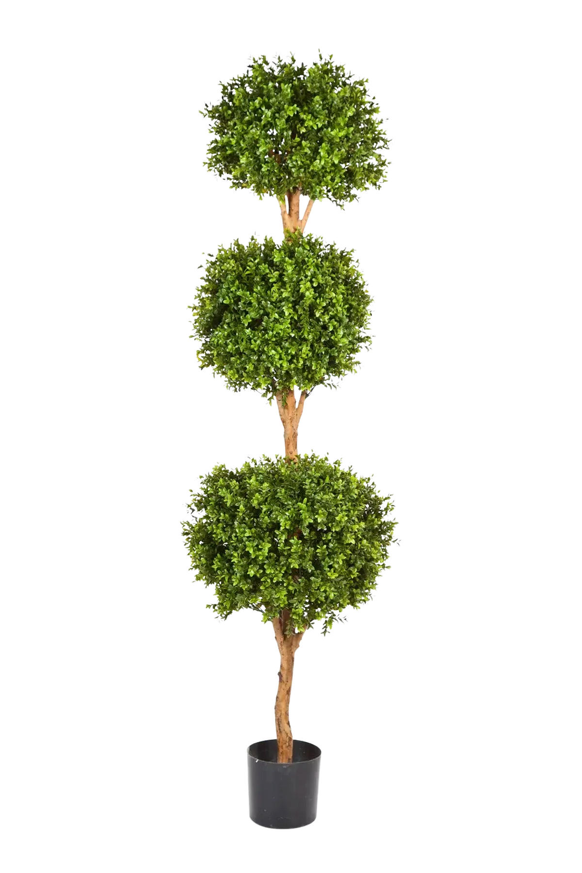 KUNSTBAUM Künstlicher Buchsbaum - Ruben 190 cm - Grün, Kunststoff (190cm) - aplanta