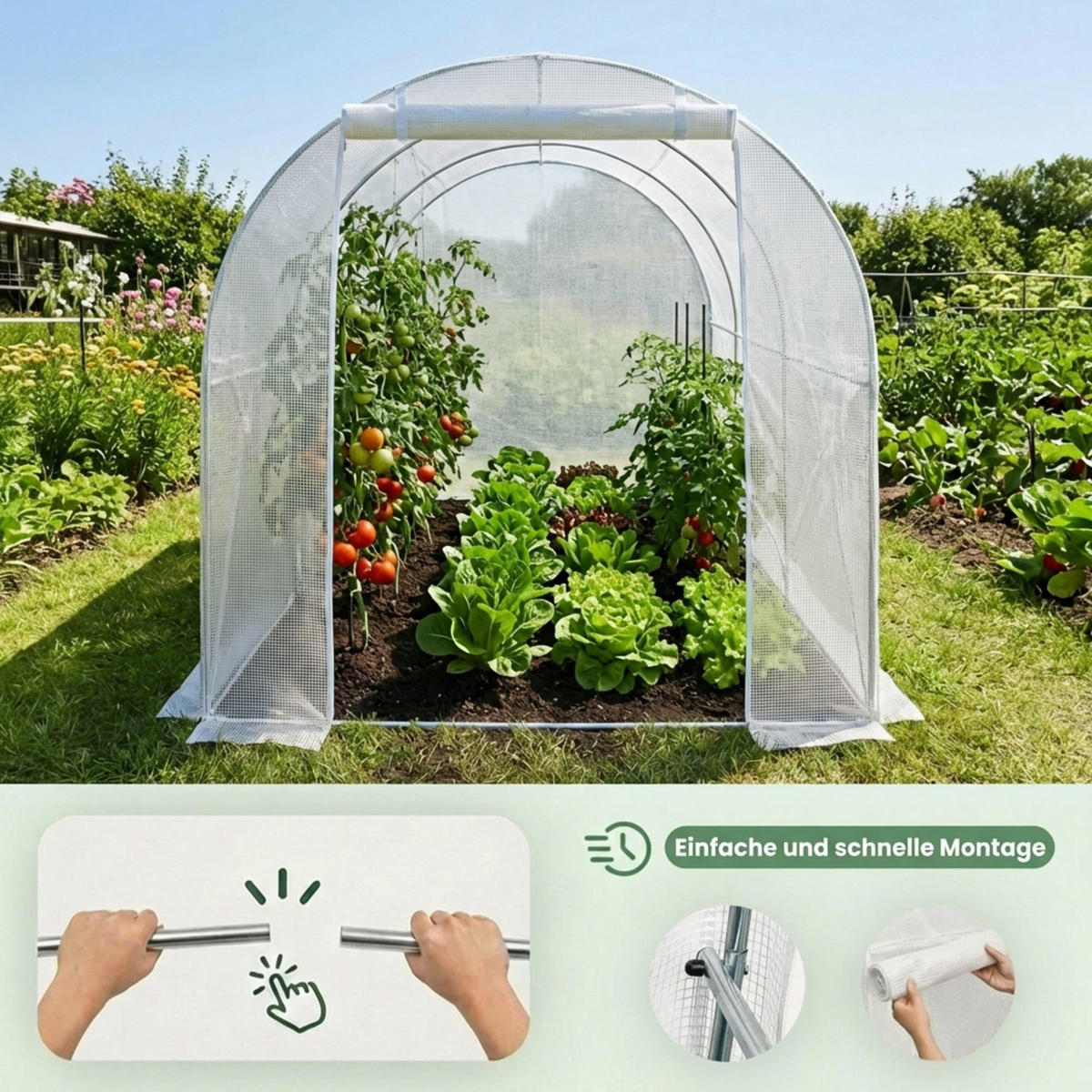 TUNNELGEWÄCHSHAUS, Weiß, 200x300x200 cm - Weiß, Metall (200/200/300cm) - Akord