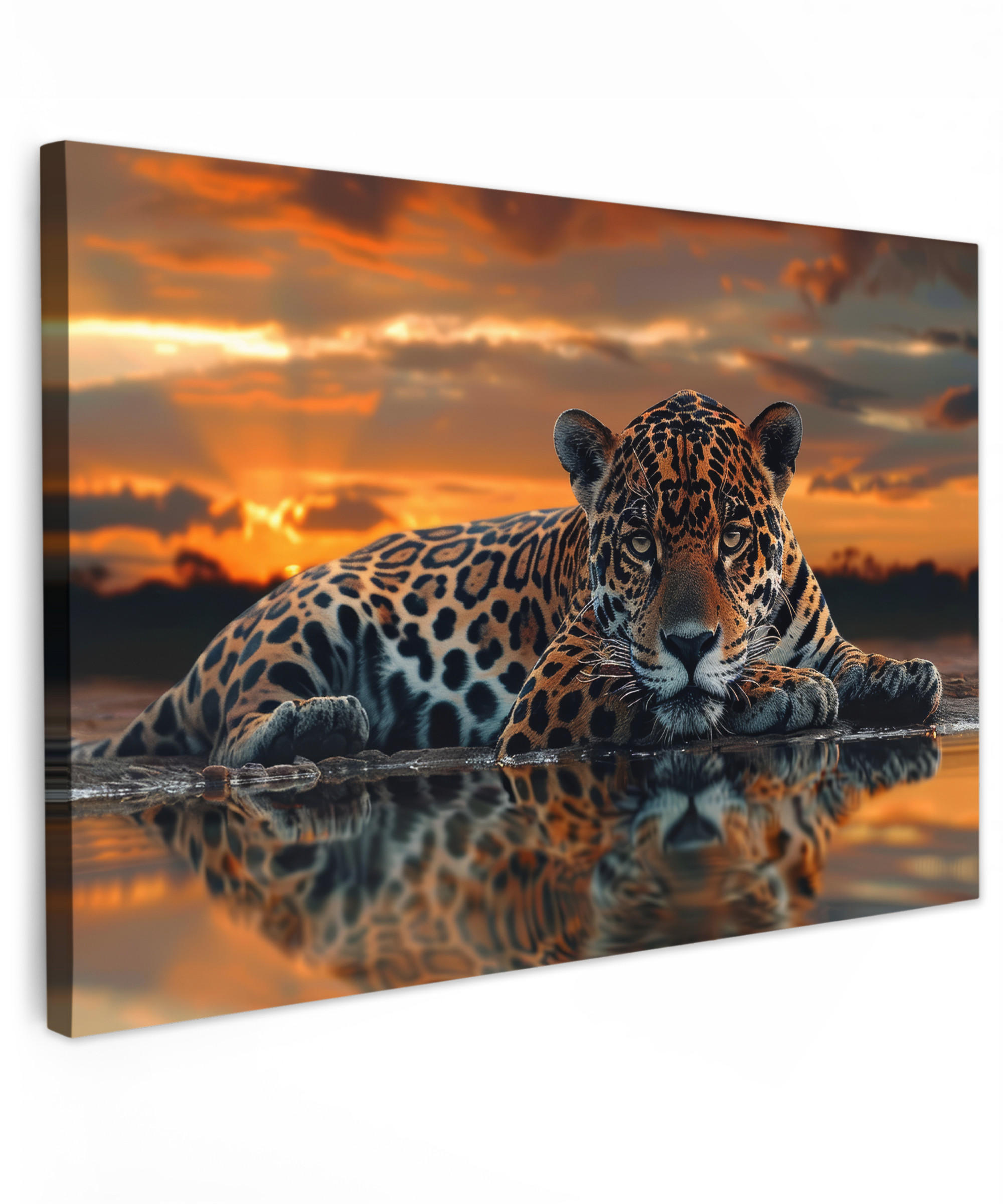 LEINWANDBILD Natur - Leopard - Tier - Sonnenuntergang - Modern Groß 140x90 cm - Orange, Textil (140/90cm) - MuchoWow