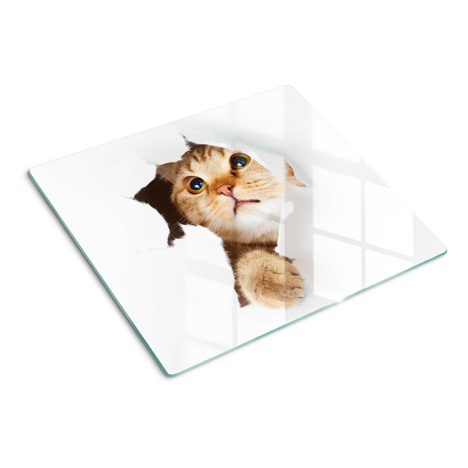 GLASPLATTE 60x52 cm Katze im Loch - Sandfarben, Glas (60/52cm) - TULUP