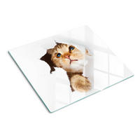 GLASPLATTE 60x52 cm Katze im Loch - Sandfarben, Glas (60/52cm) - TULUP
