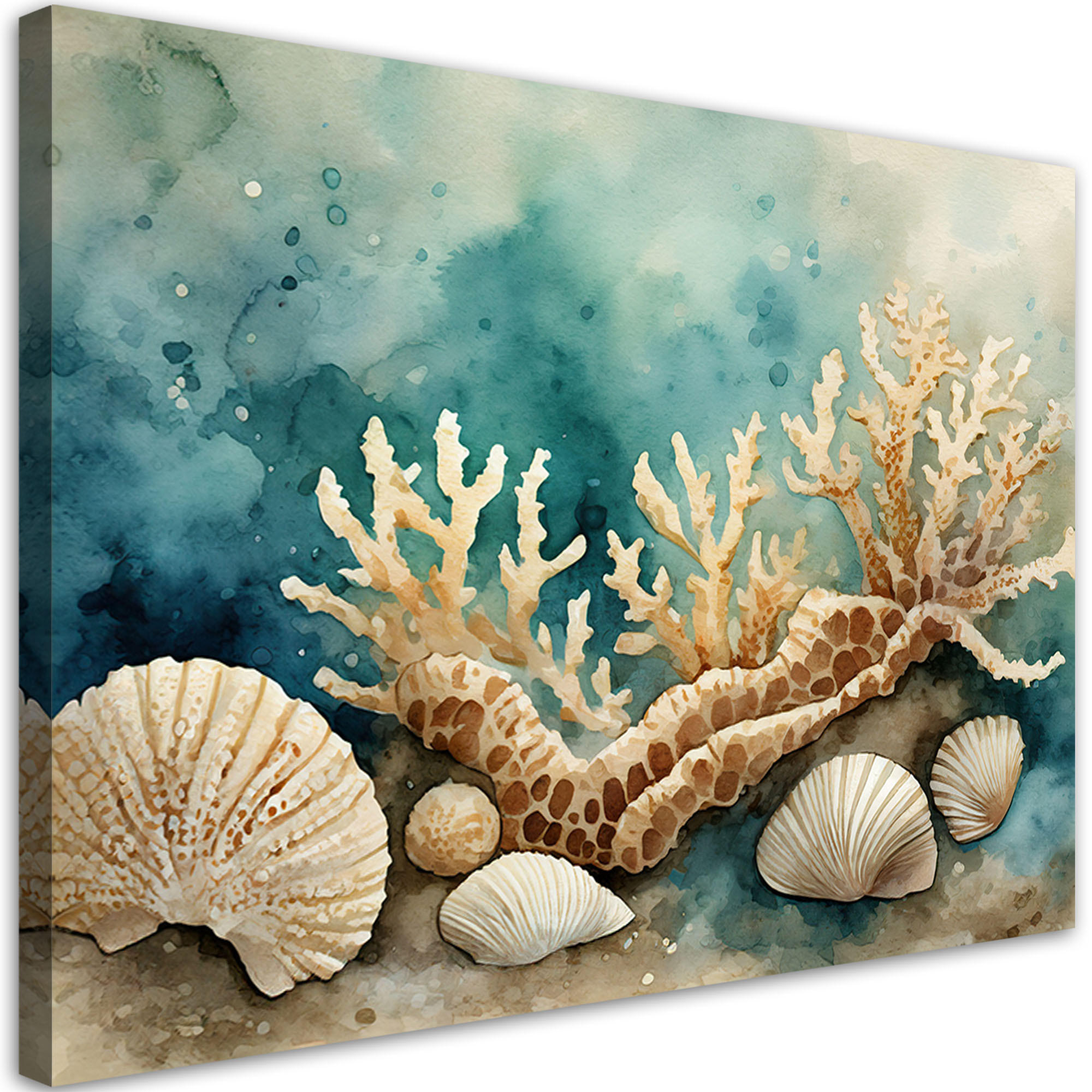 LEINWANDBILD Seemuscheln und Seesterne türkis - Grün, Textil (60/40cm) - Feeby