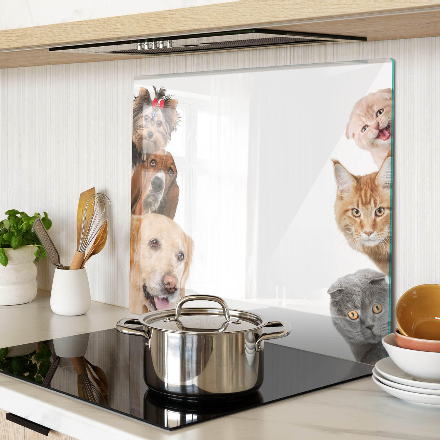 GLASPLATTE 60x52 cm Hunde Katzen - Beige, Glas (60/52cm) - TULUP