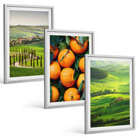 BILDER SET 3er Set - 40x60 cm Silberner Rahmen - Italienische Landschaft mit Orangen - Silberfarben, Kunststoff (40/60cm) - TULUP