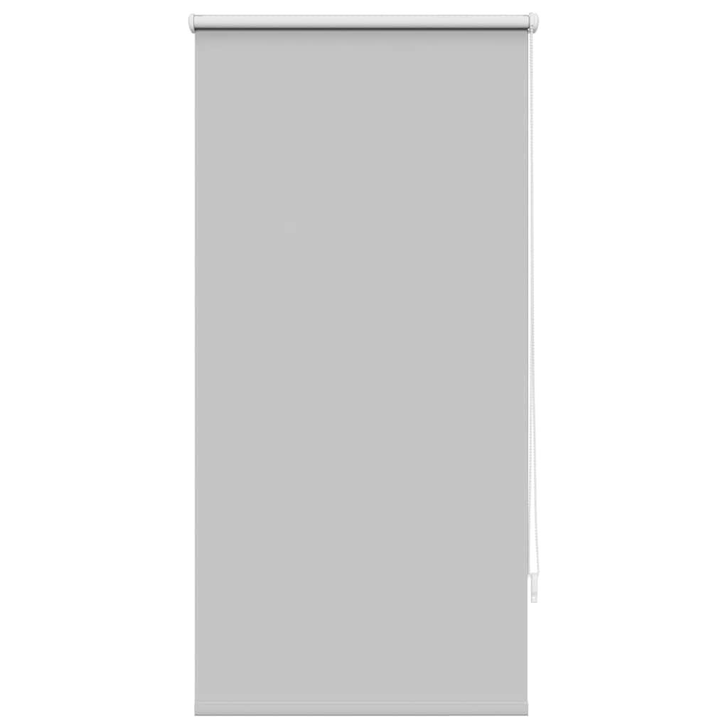 vidaXL Verdunkelungsrollo Grau 60x120 cm