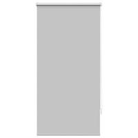 VERDUNKELUNGSROLLO 64,4/120 cm Stoffbreite 60 cm aus Polyester Grau - Grau, Textil (60/120cm) - vidaXL