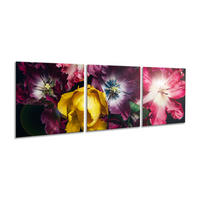 BILDER-SET aus Glas je 50x50 cm Tulpen rot pink - Gelb, Glas (150/50cm) - artissimo