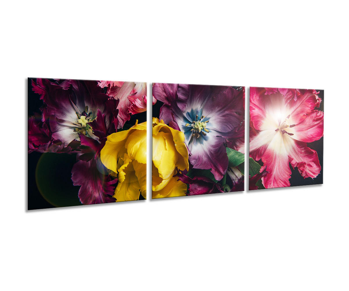BILDER-SET aus Glas je 50x50 cm Tulpen rot pink - Gelb, Glas (150/50cm) - artissimo