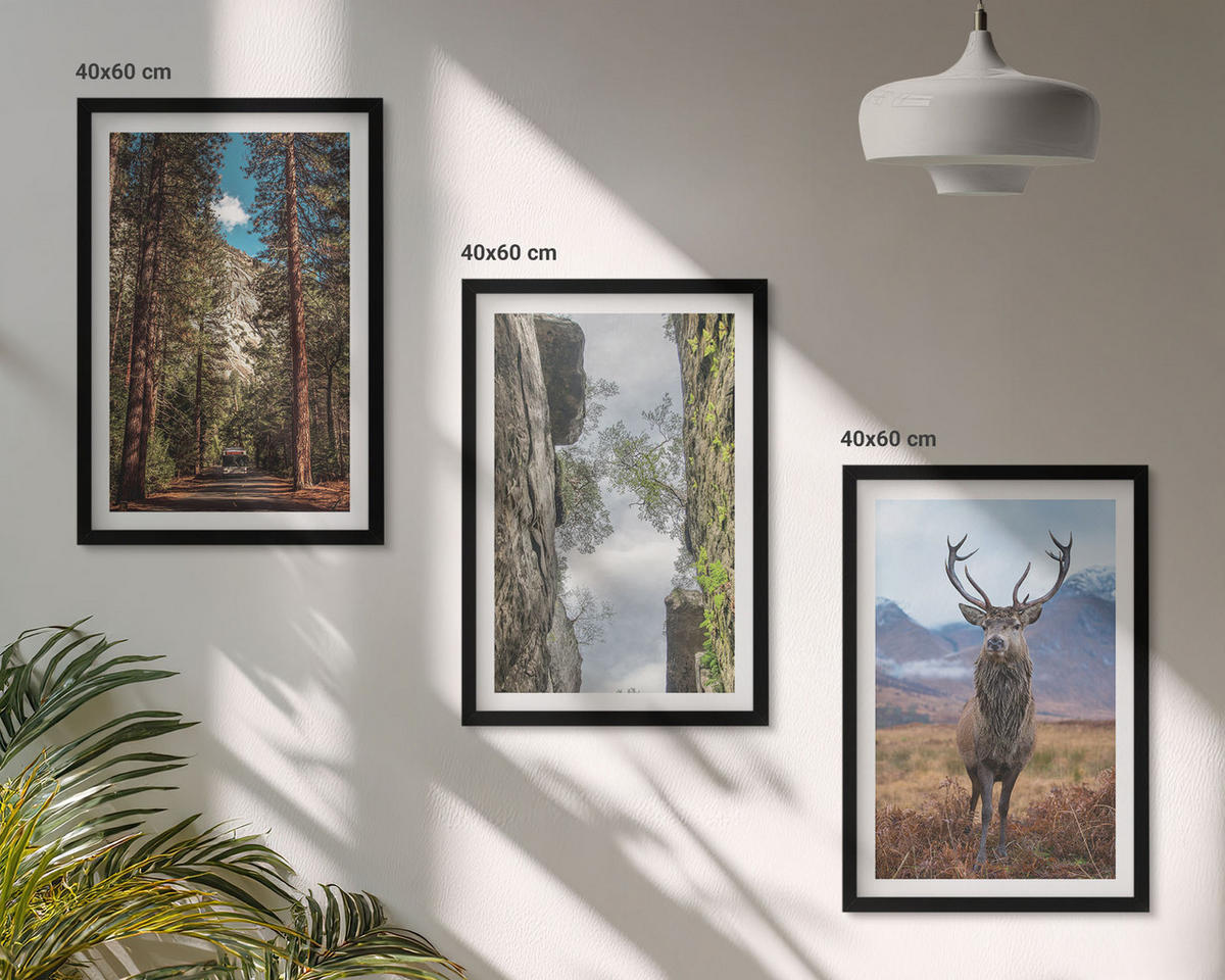 WANDBILDER 3er-Set - 40x60 cm Schwarzer Rahmen - Straße Wald Berge Hirsch Natur - Schwarz, Kunststoff (40/60cm) - ArtPrintCave