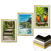 WANDBILDER 3er Set - 40x60 cm Goldrahmen - Tropischer Wald Papageienwasserfall - Goldfarben, Kunststoff (40/60cm) - ArtPrintCave