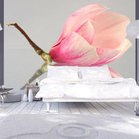 VLIESTAPETE Beige 350/270 cm - Pink/Beige, Textil (350/1cm) - KUNSTLOFT