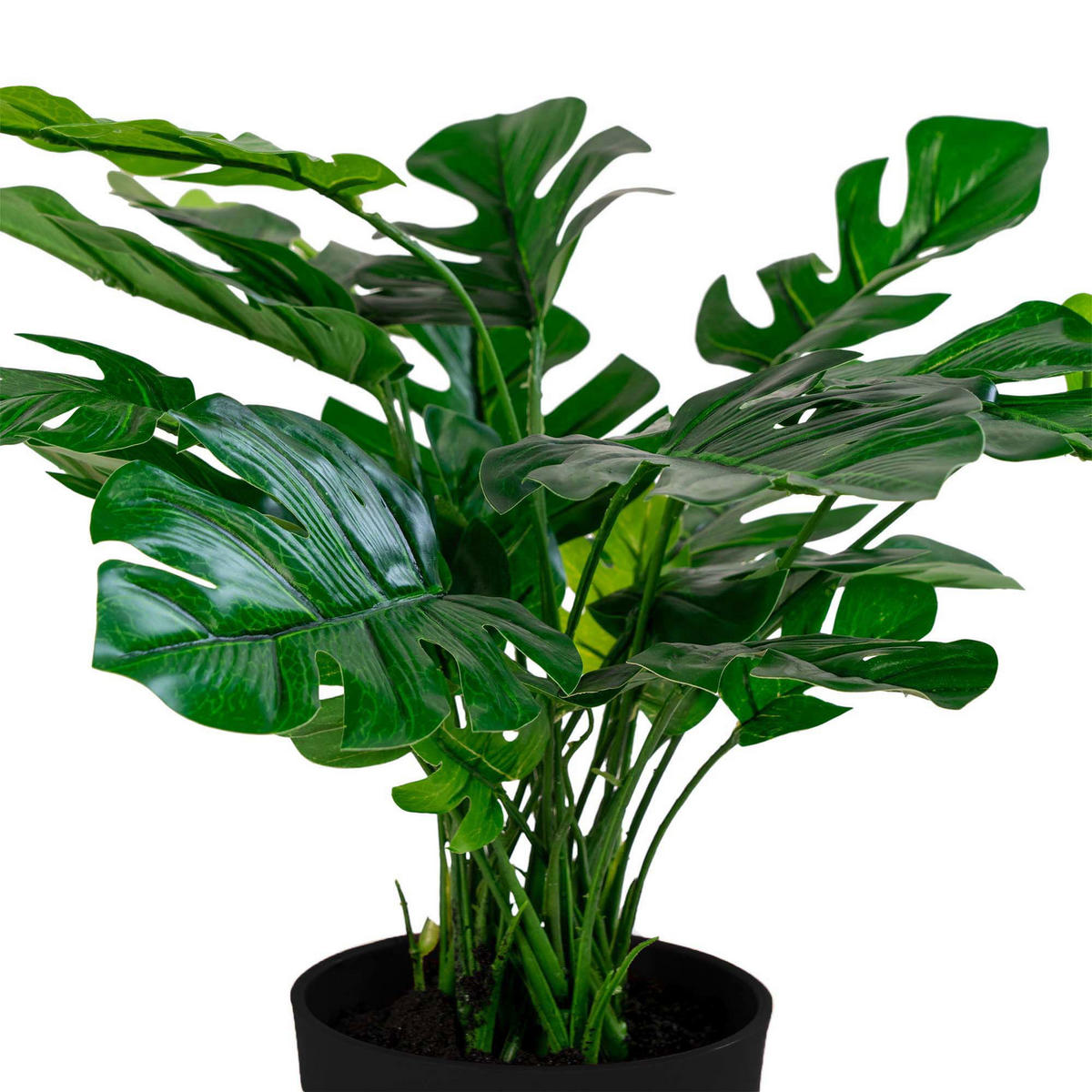 MONSTERA PE Kunststoff, Polyester, Draht, Zement Grün - Grün, Kunststoff (40cm) - tinkaro