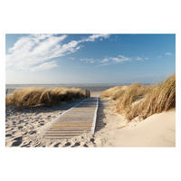 FOTOTAPETE Ostsee Strand 336/225 cm - Eichefarben, Papier (336/225cm) - Bilderwelten