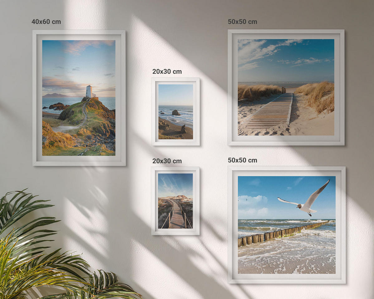 WANDBILDER 5er-Set - 50x50 cm & 20x30 cm & 40x60 cm Weißer Rahmen - Palmen am Meer, blaues Wasser - Weiß, Kunststoff (40/60cm) - ArtPrintCave