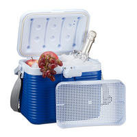 KÜHLBOX Weiß Blau 8 l Tragegurt - Multicolor, Kunststoff (31/34cm) - Relaxdays