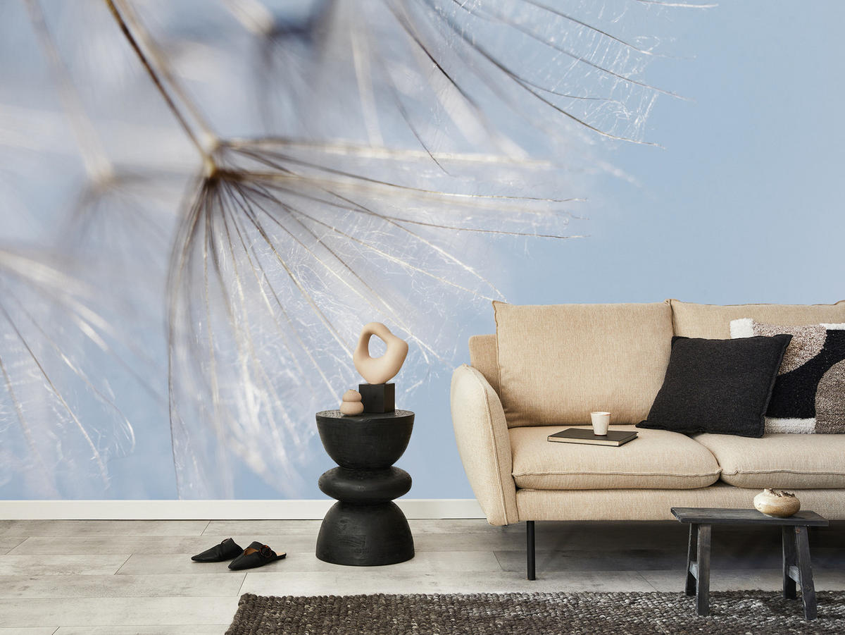 FOTOTAPETE für Schlafzimmer Zarte Löwenzahnblüten im Wind 400x280 - Braun/Weiß, Papier (400/280cm) - Muralo