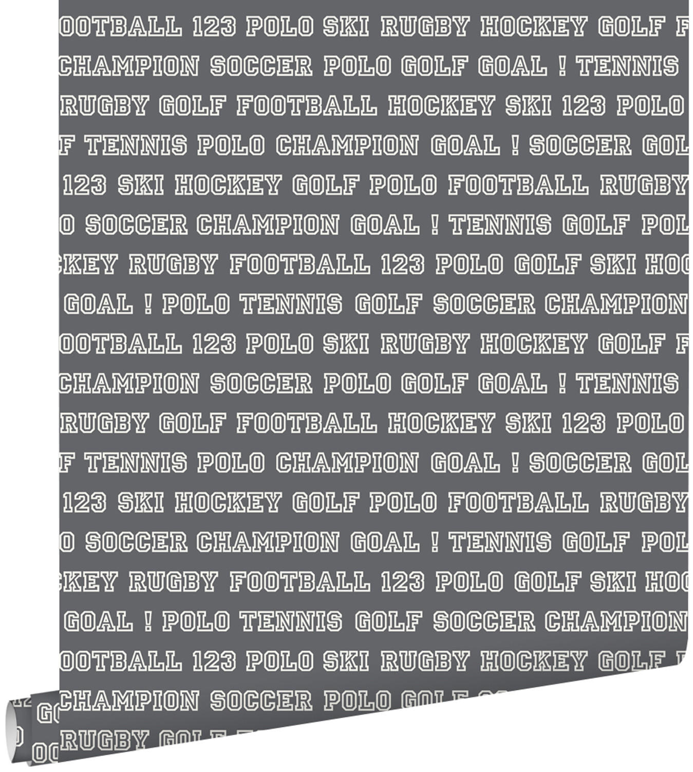 TAPETE Sportarten 53 cm x 10.05 m - Grau, Papier (53/1000cm) - ESTAhome