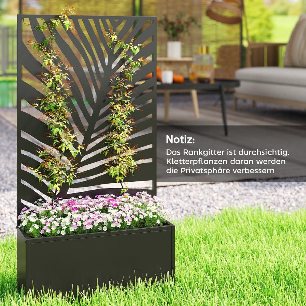 HOCHBEET Pflanzkasten mit Sichtschutz Metall - Schwarz, Metall (23/23/61cm) - ComfortXL