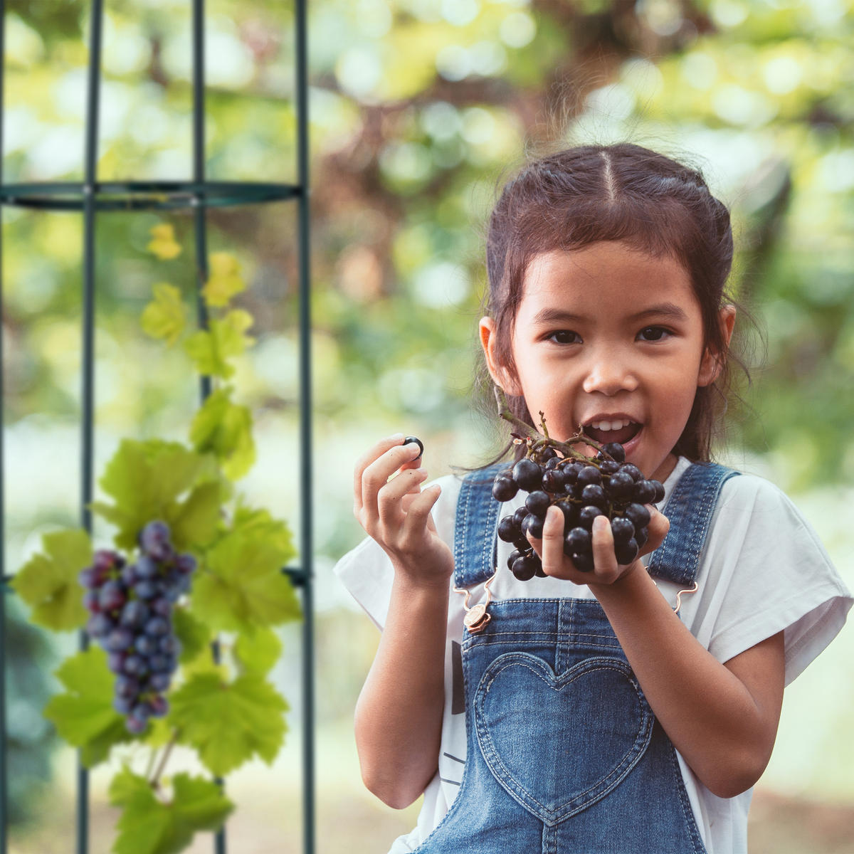 RANKHILFE - Dunkelgrün, Metall (40/188/40cm) - Relaxdays