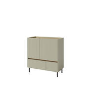 KOMMODE MURO 95/105/40cm mit 2 Schubladen 2 Türen Hellgrün - Hellgrün, Holzwerkstoff (95/105/40cm) - MASSENO